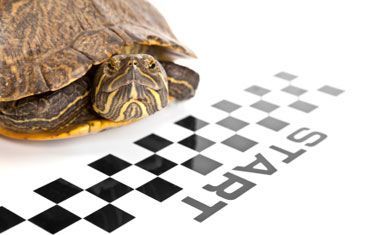 auditoria diagrama de tortuga