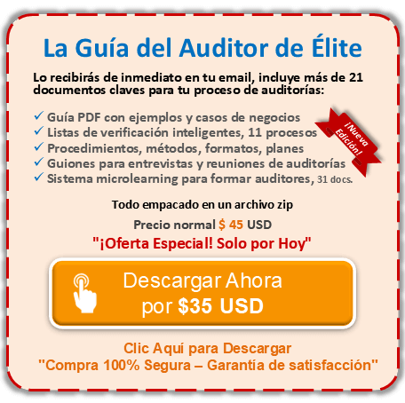la guía del auditor de élite 19011 2025 2018 pdf